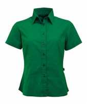 Goedkoop groen shortsleeve dames overhemd carnavalskleding